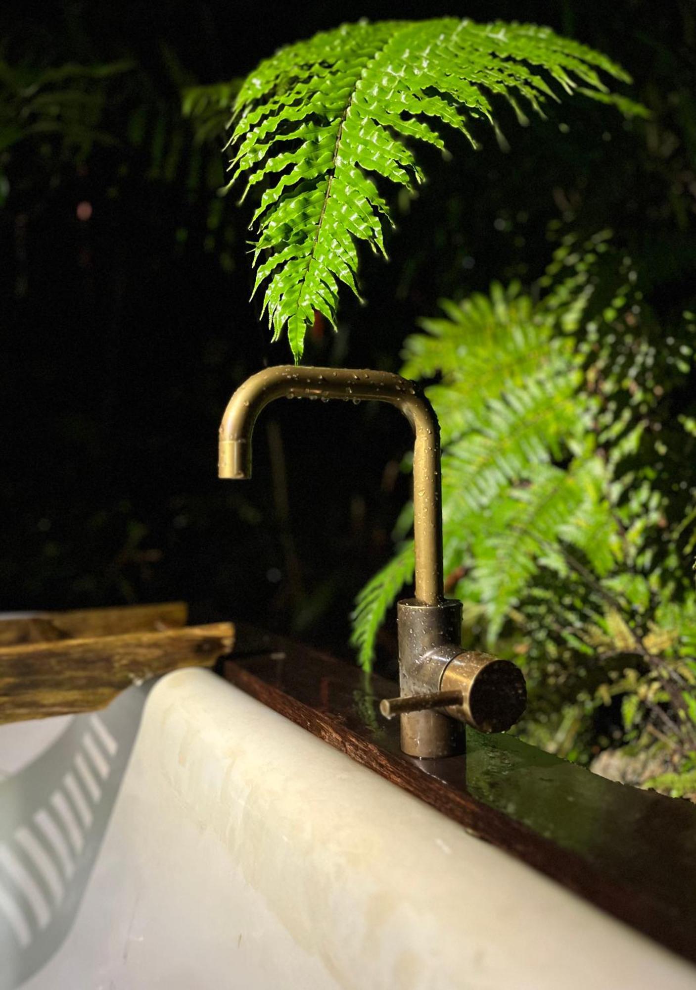 Punakaiki Forest Retreat Εξωτερικό φωτογραφία